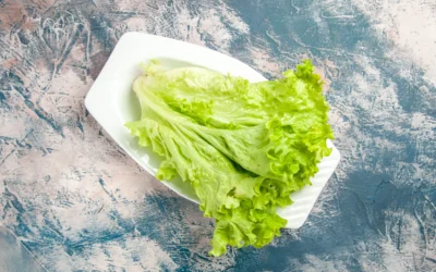 Jenis-Jenis Selada yang Perlu Kamu Tahu Biar Nggak Salah Olah Menu Sehat