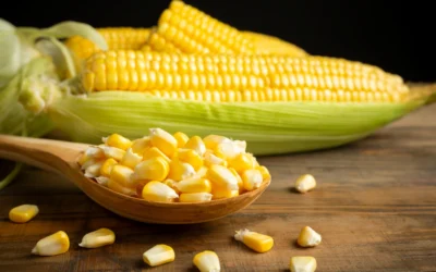 Perbedaan Jagung Manis dan Jagung Biasa, Jangan Sampai Salah Pilih