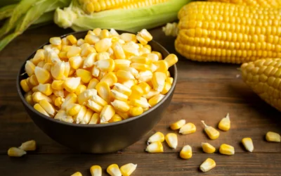 Cara Merebus Jagung Manis yang Tetap Manis, Empuk, dan Nggak Hambar
