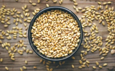 Perbedaan Oat dan Gandum, Jangan Sampai Salah Pilih untuk Menu Sehari-hari